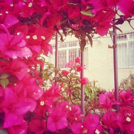 Hostel Nossa Casa ฟลอเรียนอโปลิส ภายนอก รูปภาพ