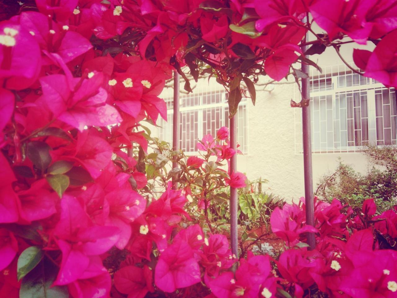 Hostel Nossa Casa ฟลอเรียนอโปลิส ภายนอก รูปภาพ